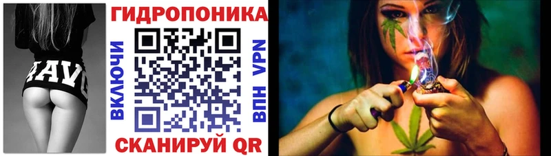 Где можно купить наркотики Новотитаровская Амфетамин  Бошки Шишки  А ПВП  Гашиш  Меф мяу мяу  COCAIN 