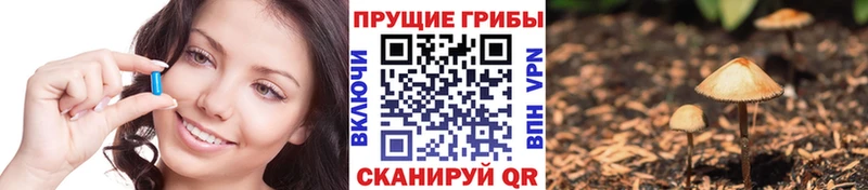 Галлюциногенные грибы Magic Shrooms  где купить наркоту  кракен как зайти  Новотитаровская 